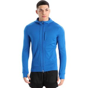 Icebreaker Quantum Iii Zip Sweatshirt Grijs L Man