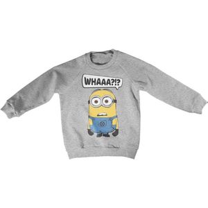 Minions Sweater/trui kids -Kids tm 12 jaar- Whaaa?!? Grijs