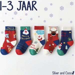 SilverAndCoco® - 5 Paar Baby Kinder Kerstsokken 1 2 3 Jaar / Vrolijke Happy Kerst Sokken Kerstman Rendier / Grappige Dikke Warme Huissokken Kerstcadeau kinderen / Wintersokken jongens meisjes Kleding Cadeautje Kind Sokjes