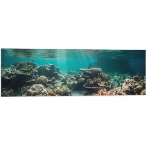 Vlag - Onderwater - Zee - Water - Koraal - Dieren - Kleuren - Zand - 90x30 cm Foto op Polyester Vlag