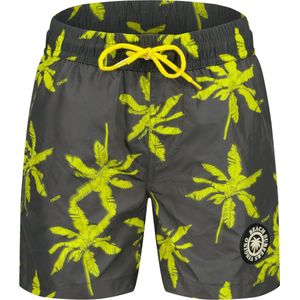 Vingino Xurfio Jongens Zwembroek - Mettalic grey