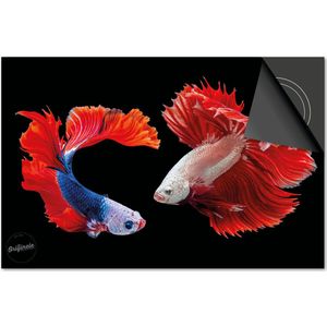 Inductie beschermer 76x51,5 - afdekplaat inductie mat - Dietrix Kookplaat beschermer - Exclusief - Under the Sea - Clownvissen
