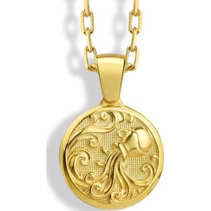 Aquarius ketting voor beste vriend verjaardagscadeau Gold Polished 28 inches