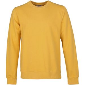 Colorful Standard - Sweater Geel - Heren - Maat XL - Regular-fit