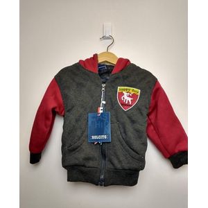 Jongens vest Milan met capuchon grijs rood 86