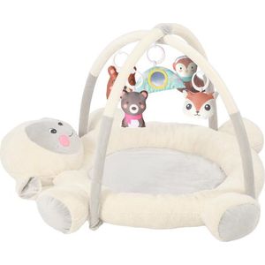 Lorelli Plush Play Gym Speelkleed Mary 1030040