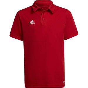 adidas - Entrada 22 Polo Youth - Rode Polo-152