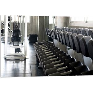 PVC Schuimplaat - Rij Dumbells op Rek in Sportschool - 90x60 cm Foto op PVC Schuimplaat (Met Ophangsysteem)