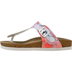 DOGO Lila - Hello 36