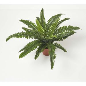 Homescapes kunstplant Nephrolepis Exaltata, kunstzwaardvaren in pot, 45 cm hoog