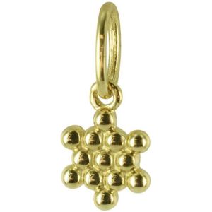 Silventi 9NBSAM-G200265 Gouden Hangertje - Dames - Davidster - Ster - 4,5 mm - 14 Karaat - Bedel - Goud