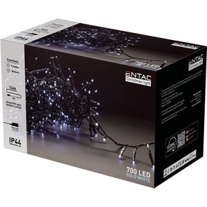 Entac Kerst Micro Cluster Lichtsnoer 14m - Kerstverlichting Buiten en Binnen - 700 LED Lampjes - Daglicht Wit