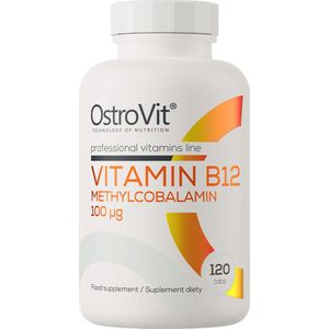Vitamine B12 Methylcobalamine - 100 µg - 120 Tabletten - OstroVit - Vitamin B12 Methylcobalamin 100 µg 120 tablets