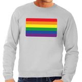 Gay pride regenboog vlag sweater grijs - homo/regenboog sweater voor heren - gay pride M