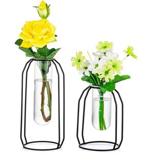 Vazen set van 2 glazen vazen met metalen frame, moderne zwarte framecilinderterrassen met doorzichtige vazen, bloemenhouderdecoraties voor bruiloftswoonkamer, kantoor, feest