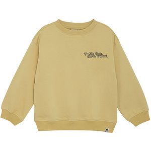 Daily7 - Oversized Sweater Retro Print - Silver Fern - Maat 80