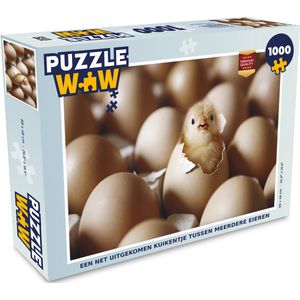 Puzzel Een net uitgekomen kuikentje tussen meerdere eieren - Legpuzzel - Puzzel 1000 stukjes volwassenen