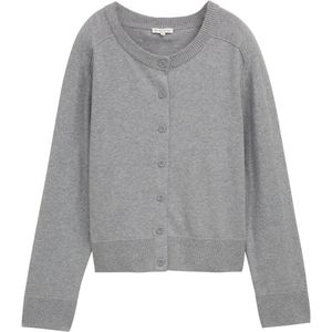 TOM TAILOR Gebreid vest  grijs