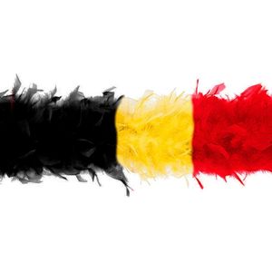 Boa 5 stuks - Belgische driekleuren - Voetbal - carnaval -