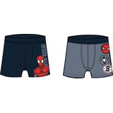 NAME IT - NMMOVILE SPIDERMAN - Boxershorts - Jongens