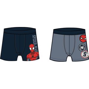 NAME IT - NMMOVILE SPIDERMAN - Boxershorts - Jongens