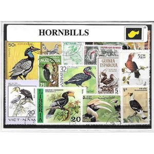 Neushoornsvogels â€“ Luxe postzegel pakket (A6 formaat) : collectie van verschillende postzegels van neushoornsvogels â€“ kan als ansichtkaart in een A6 envelop - authentiek cadeau - kado - geschenk - kaart - Bucerotidae - toekan - bedreigd - vogel