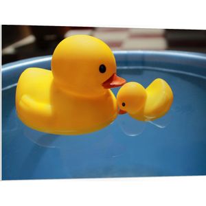 PVC Schuimplaat - Moeder en Baby Badeenden in het Water - 100x75 cm Foto op PVC Schuimplaat (Met Ophangsysteem)