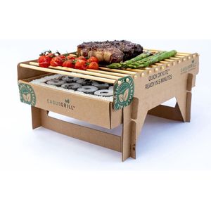 Casus Grill Wegwerp BBQ