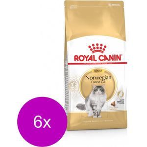 Royal Canin Norwegian Forest Cat Adult - Kattenvoer - 6 x 2 kg