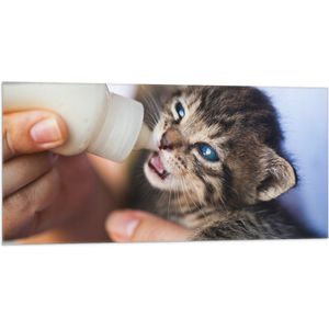 Vlag - Kitten Drinkend uit Melkfles met Blauwe Ogen - 100x50 cm Foto op Polyester Vlag