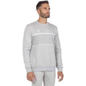 Tecnifibre Team Sweatshirt Grijs M Man