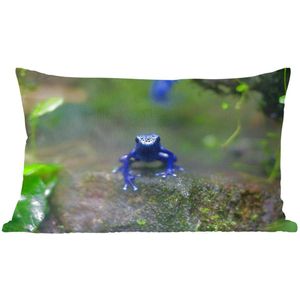 Sierkussens - Kussen - Blauwe kikker in de jungle - 50x30 cm - Kussen van katoen