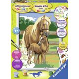 Ravensburger Schilderen op nummer Paardenliefde - Hobbypakket