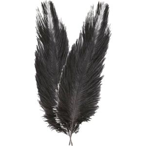 Chaks Pieten struisvogelveer/sierveer - 2x - zwart - 55-60 cm - decoratie/hobbymateriaal
