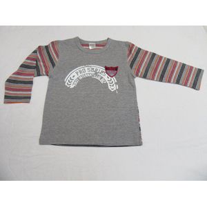 Dirkje , jongen , t-shirt lange mouw , grijst , pro series 110-  5 jaar