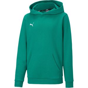 PUMA kinderteamGOAL 23 Casuals hoody sweatshirt pullover 656711 groen