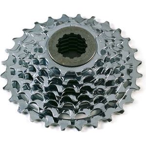 Gurpil Monson Cassette Zilver 8s / 13-28t