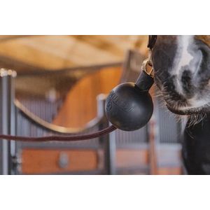 Kentucky - Rubber Ball Protection Wall & Lead - Bordeaux - Veiligheid & Bescherming