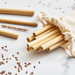10 Bamboe rietjes - inclusief schoonmaakborstel - Rietjes herbruikbaar - Bamboo straws