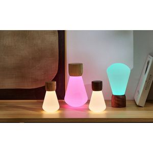 Gingko Mini Pentagon Bureaulamp - LED - Walnoothout