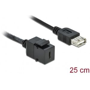 Delock - Keystone Module - USB 2.0 C Vrouw naar USB 2.0 A - Zwart - 25 cm Kabel