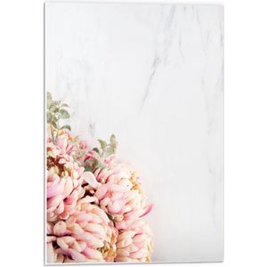 Forex - Marmer met Roze Bloemen - 40x60cm Foto op Forex