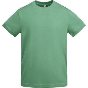 Donker Mint unisex dik t-shirt brede boord korte mouwen merk Roly maat XL