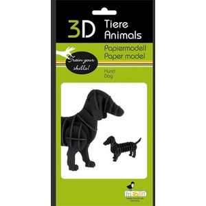In3D puzzel en bouwpakket karton model hond teckel