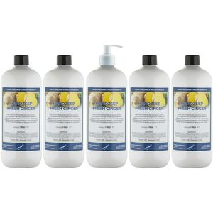 Handzeep Fresh Ginger 1 liter - set van 5 stuks - met gratis pomp - Voordeelverpakking