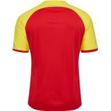 Hummel T-Shirt Match League Jersey 233153 True Red/Blazing Yellow-XXL