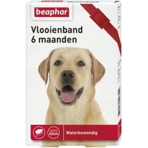 Beaphar Diagnos Vlooienband Hond Rood 6 Mnd