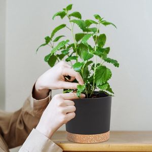 Bumper Pots Pakket van 2, 12,7 cm, Bloempotten voor Binnenplanten met Afvoergaten en Verwijderbare Bodem, Onderzetter, Moderne Decoratie voor Tuinplanten Buitenshuis (Donkergrijs, 12,7 cm)