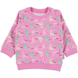 Baby/peuter sweater meisjes - Dino Babykleding