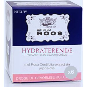 Set van 6 Waterrozen - Hydraterend coor Droge Huid en Persoonlijke Verzorging - Meerkleurig - 6-Delig